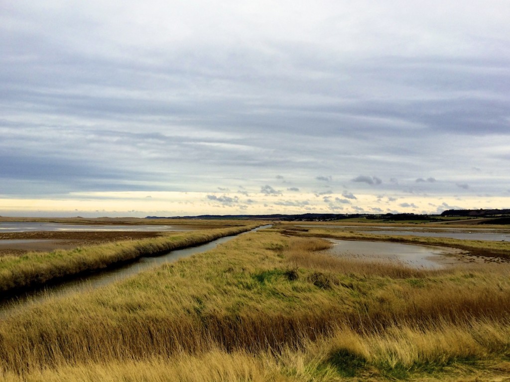 Wetlands